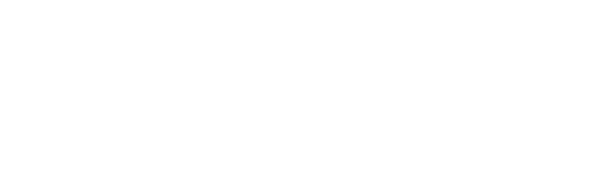 American cargo services